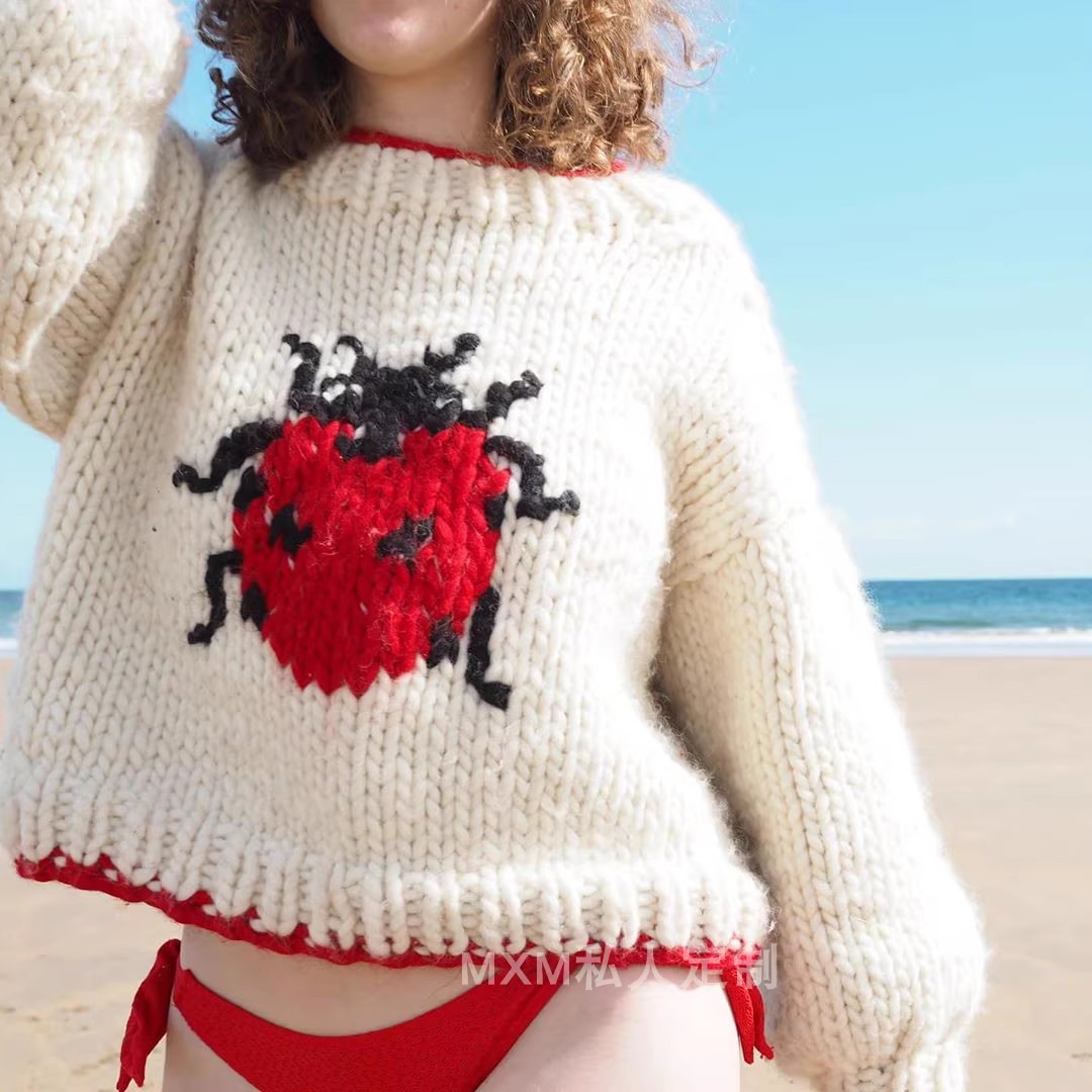 Seven Star Lieveheersbeestje P - Embroidery Lady Bug recensie en prijs
