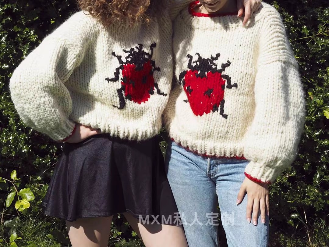 Seven Star Lieveheersbeestje P - Embroidery Lady Bug recensie en prijs